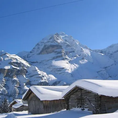 Olle And Maria's B&b- *