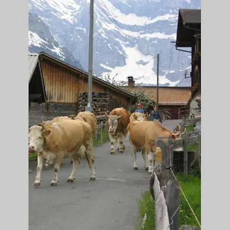 Olle And Maria's B&b- Apartmán Gimmelwald
