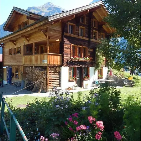 Apartment Olle And Maria's B&b- Gimmelwald