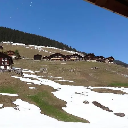 Olle And Maria's B&b- Apartment Gimmelwald