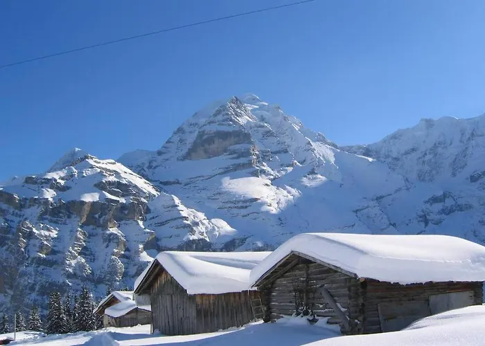 Olle And Maria's B&b- *