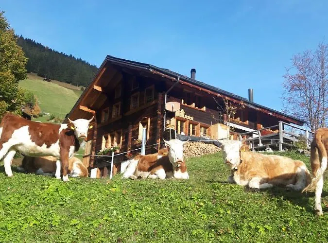 Olle And Maria's B&b-