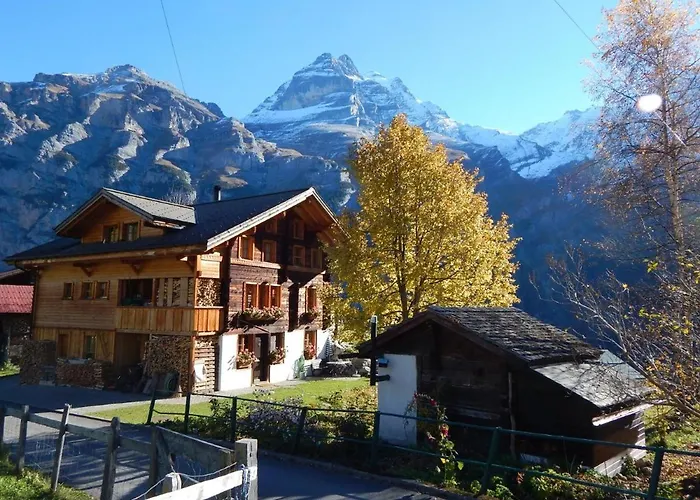 شقة Olle And Maria's B&b- *