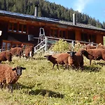 Lejlighed Olle And Maria's B&b- Gimmelwald
