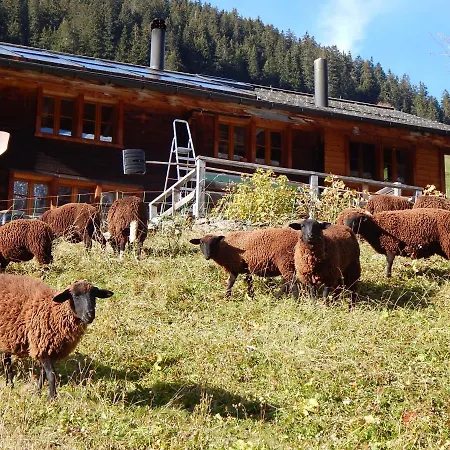 Lejlighed Olle And Maria's B&b- Gimmelwald