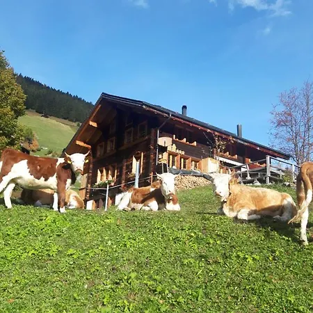 Olle And Maria's B&b-