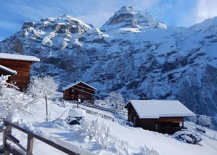 Olle And Maria's B&b- Lejlighed *