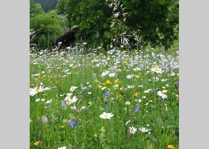 Olle And Maria's B&b-