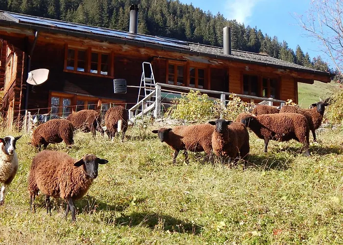 Lejlighed Olle And Maria's B&b- Gimmelwald