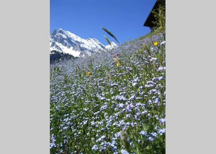 Olle And Maria's B&b- Gimmelwald